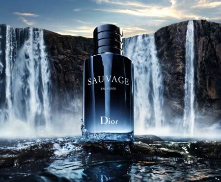 dior sauvage состав|sauvage dior аромат для мужчин.